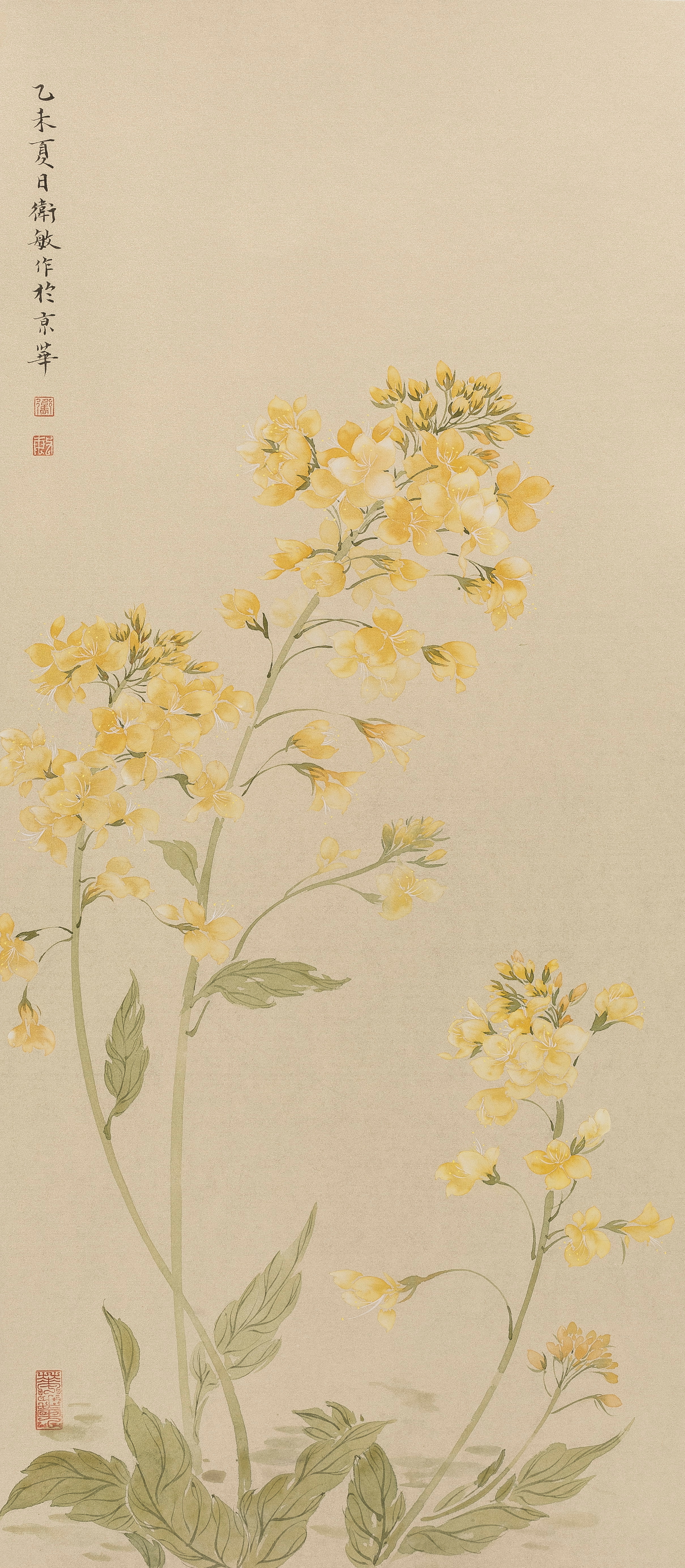 油菜花_绢本设色_国画_宝甄网